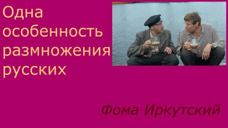 Русские чаще размножаются по праздникам