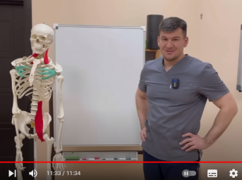 Пять мышц вечной молодости. Если их тренируешь то не стареешь никогда